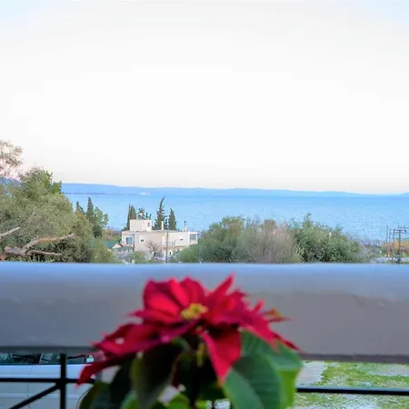 Seaven Views Pefkakia * Volos